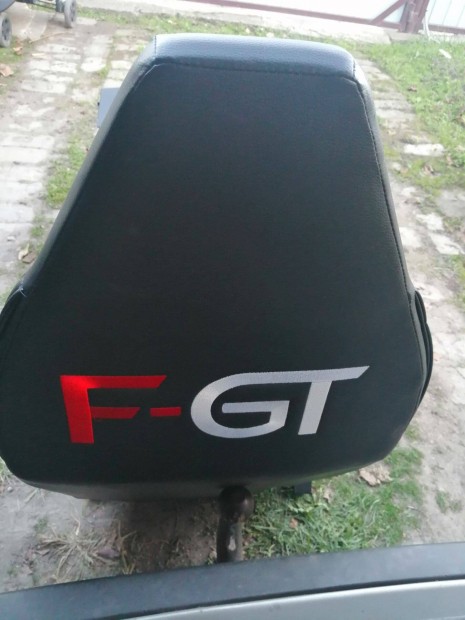 Next level racing F-GT