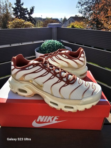 Nike Air Max Plus Tn (41)