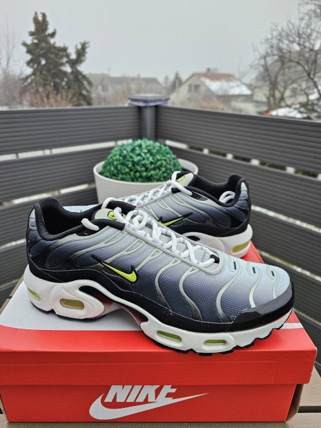 Nike Air Max Plus (40)