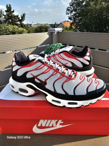 Nike Air Max Plus (43)