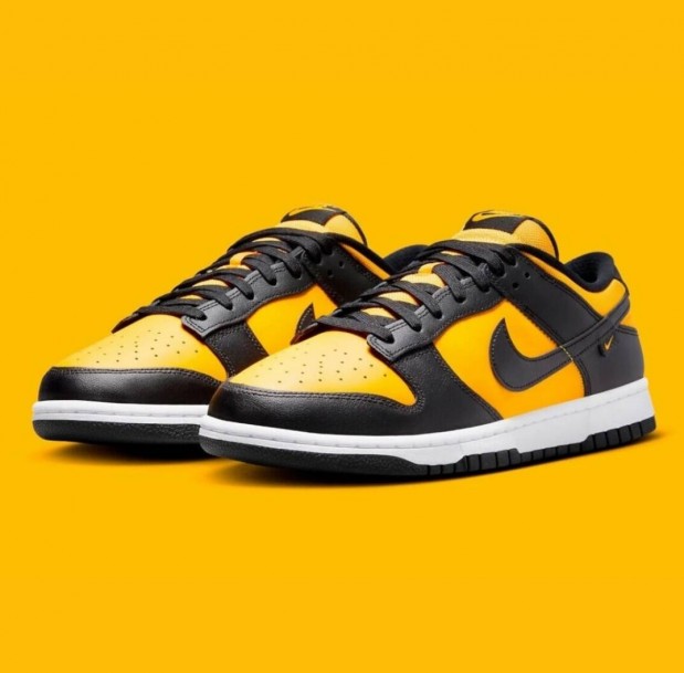 Nike Dunk Low 45-s mret