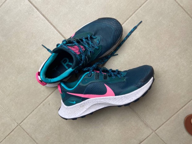 Nike Pegasus Trail ni futcip terep