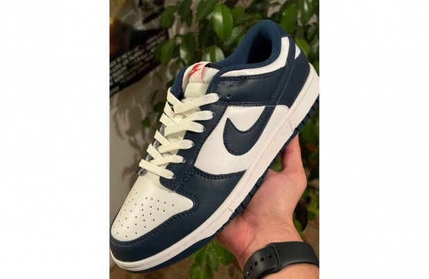 Nike dunk low cip 42,5 navy(sttkk)