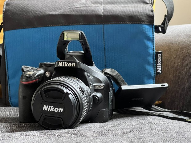 Nikon D5200 18-55 - 10000 expo 