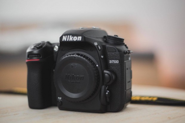 Nikon D7500 (13 ezer expo)