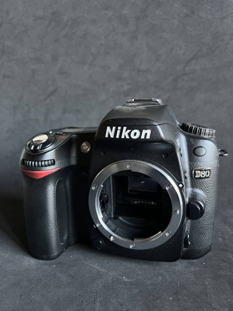 Nikon D80 hibs vz