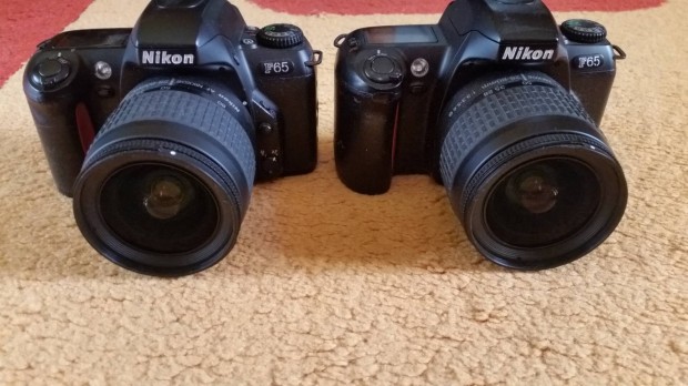 Nikon f65 filmes fnykpezgp 
