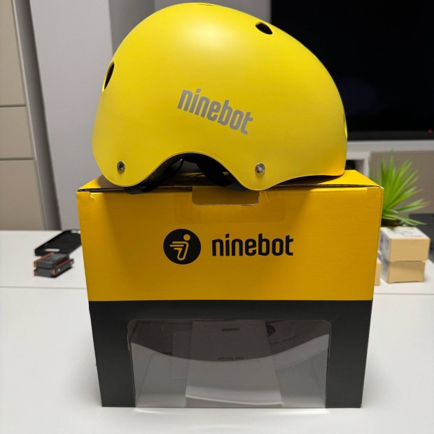 Ninebot Roller Sisak L-es