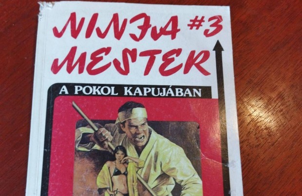 Ninja mester #3