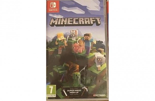 Nintendo Minecraft