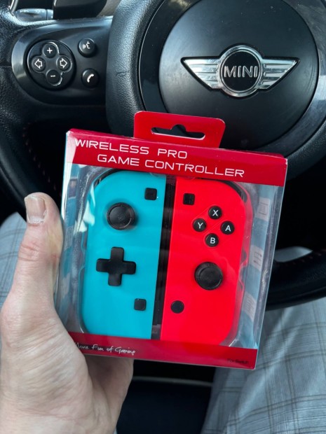 Nintendo Switch controller