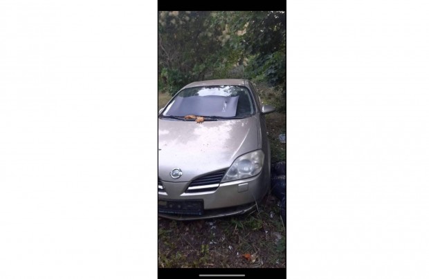 Nissan Primera P12 ,1.8 benzin alkatrszei eladk