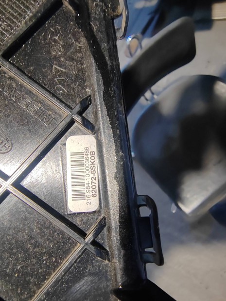 Nissan leaf rcs 