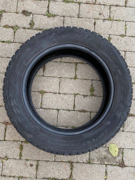 Nokian 225/50 R17 C Tli gumiabroncs-pr elad