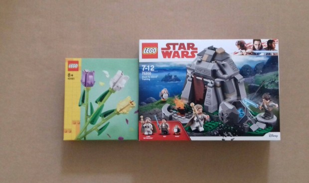 Nnapra: bontatlan Star Wars LEGO 75200 Trning + 40461 Tulipnok Fox