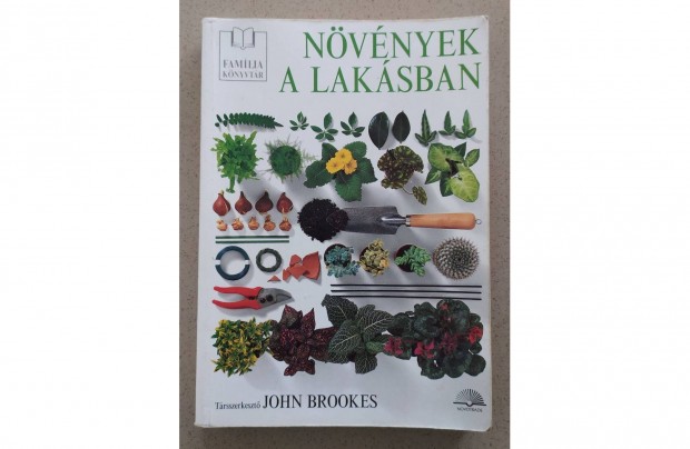 Nvnyek a laksban, szobanvny, enterir