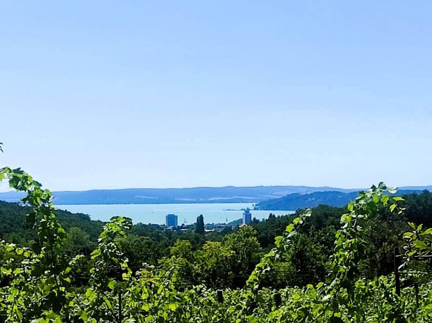 Nyaral Balatonfred tetejn - Vide