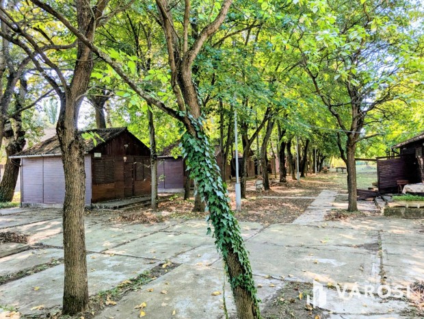 Nyaral�komplexum Szarvason-Kiv�teles Lehet�s�g a V�zparton!