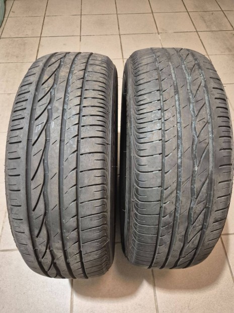 Nyri gumik 205/60R16