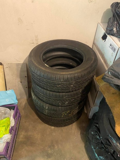 Nyrigumi 195/65R15 Goodyear Excellence
