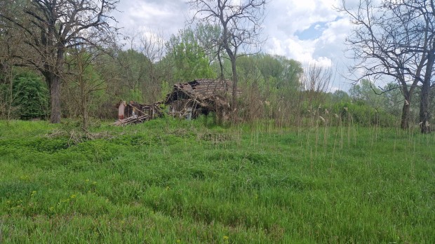 Nyíradony-Tamásipusztán, a Tisztavíz tó mellett eladó egy 3000 m2 terü