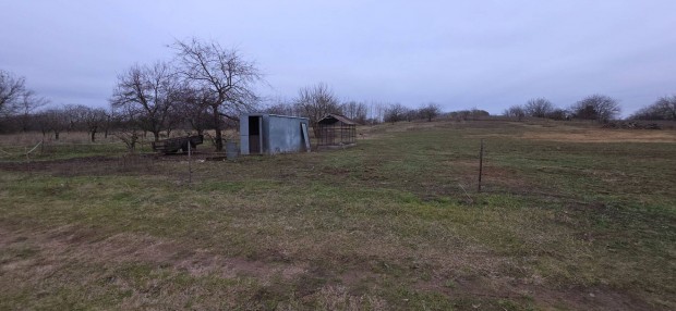 Ny�rb�tor R�zsakertben z�rtkerti ter�let elad�