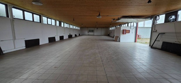 Ny�rb�tor ipari parkj�ban 420 m2-es rakt�r hossz� t�vra kiad�