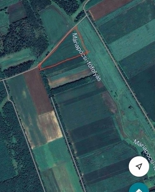 Nyrbogt sznt elad