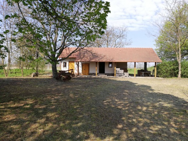 Ny�regyh�za M�ty�sbokor 10700nm Tanya Elad�