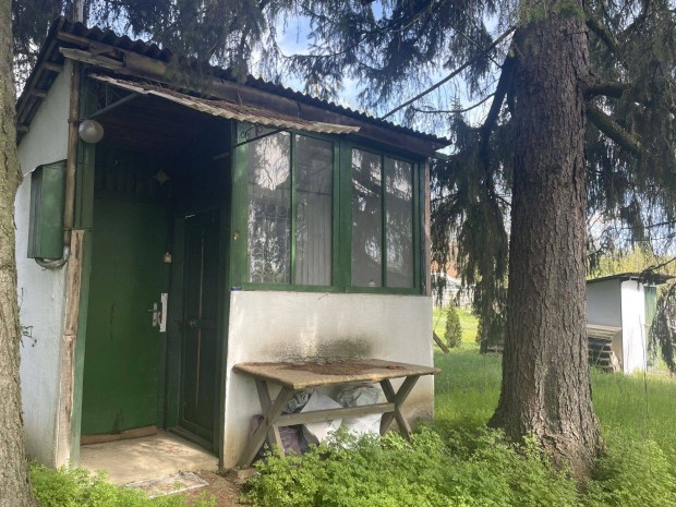 Nyíregyháza-Nagyszálláson zárkerti telek eladó!