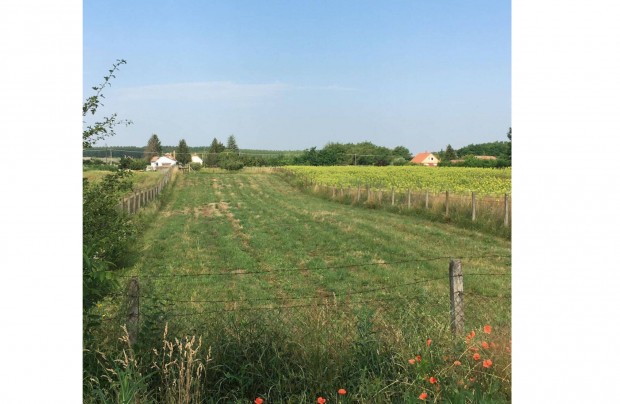 Nyregyhza Nyrsg utcn 1.500 m2 telek elad
