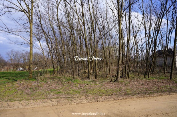 Ny�regyh�za Tokaji �t vonz�sk�rzet�ben telek elad�!