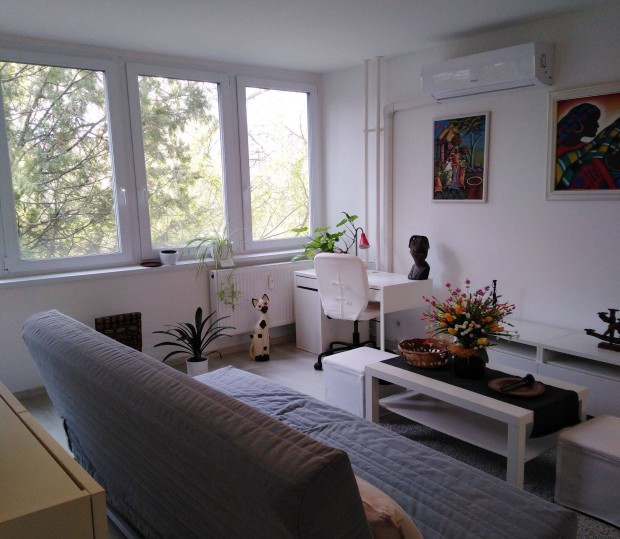 Ny�regyh�za, Belv�ros, 1. em-i 46 nm-es fel�j�tott lak�s elad�