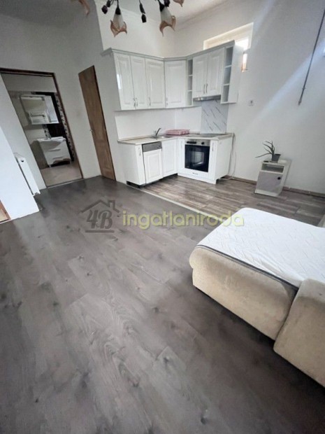 Ny�regyh�za - Borb�nya - Ikerh�z - Kiad�