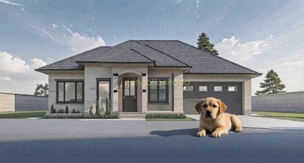 Ny�regyh�za - Malomkert - Csal�dih�z - Elad�