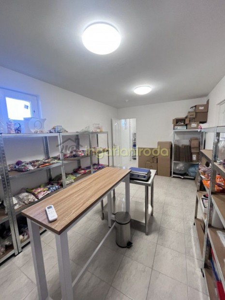 Ny�regyh�za - Ny�rsz�l�s - Ipari ingatlan - M�hely - �zem - Telephely