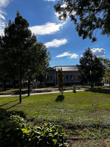 Ny�regyh�za egyik legszebb parkj�ra n�z�, hangulatos, erk�lyes lak�s E