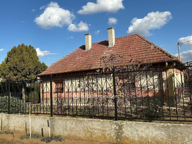 Ny�regyh�za elad� tanyasi h�z