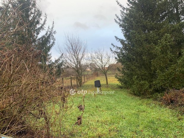 Ny�regyh�zai 1396 nm-es telek elad�