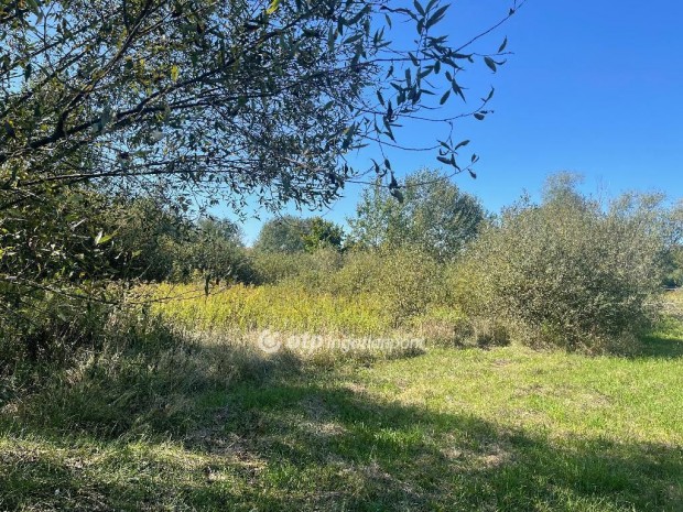 Ny�regyh�zai 2329 nm-es telek elad�