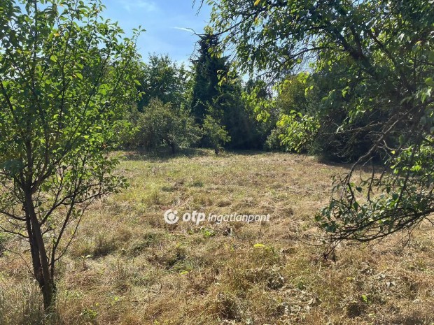 Ny�regyh�zai elad� 1602 nm-es telek