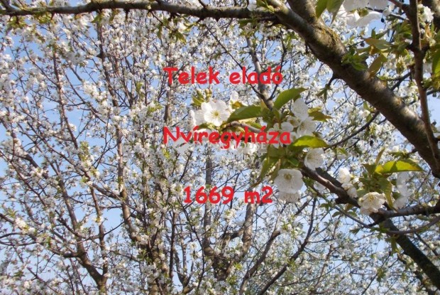 Ny�regyh�zai elad� 1669 nm-es telek