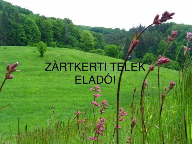 Nyrpazony-Kabalson zrtkerti telek elad!