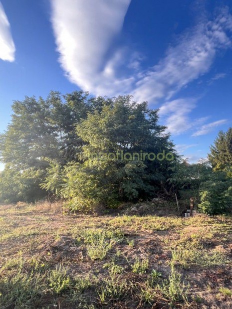 Ny�rtelek - Tanya - Elad�