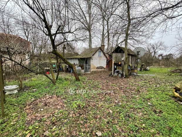 Ny�rteleki 58 nm-es h�z elad�