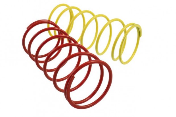 Nyomat�k rug� Malossi Racing piros Piaggio Zip sz�ria 1 (1991-1994)