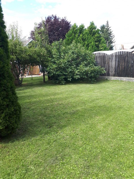 Nyugalomsziget elad� Szolnokon