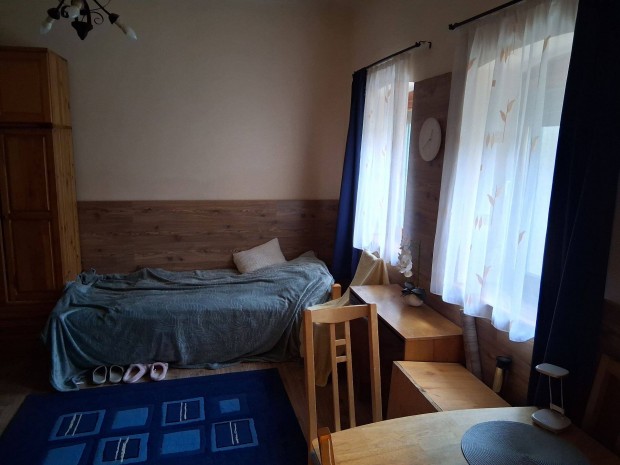 Nyugatit�l ak�r 43 percre (vas�ton,gyalogl�s is benne) 1 szob�s