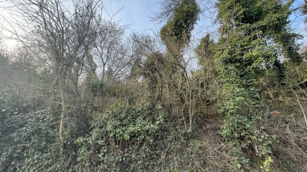 Ny�li hegyben 5039 m2-es z�rtkerti ingatlan elad�!