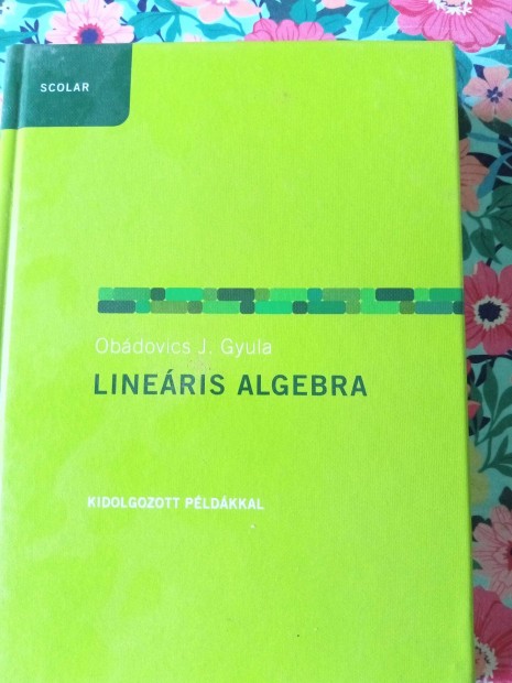 Obdovics J. Gyula: Lineris algebra / kidolgozott pldkkal/